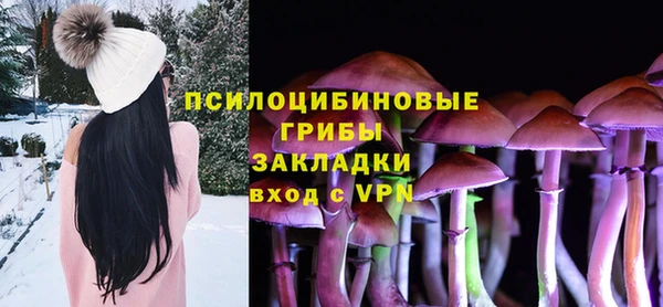 экстази Вяземский