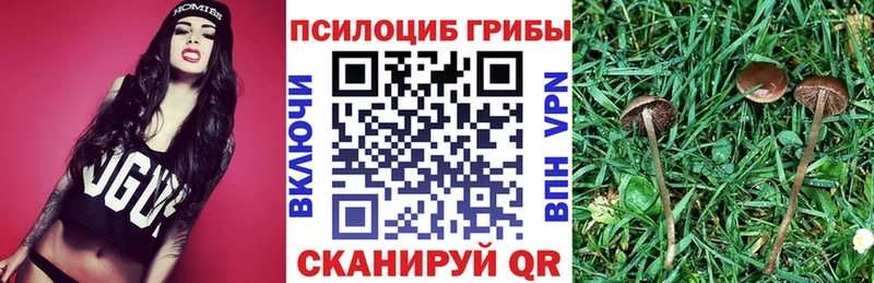 KRAKEN как зайти  хочу наркоту  Дивногорск  Галлюциногенные грибы ЛСД 
